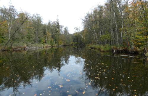 FeWo mit Balkon, Zimmermann - Foto 38