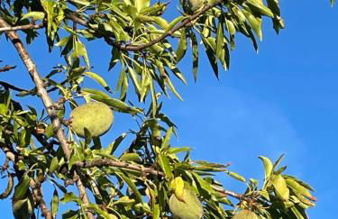 La casa di Michela - Foto 51