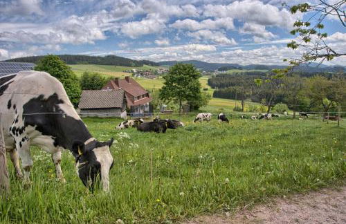 Hohwarthof - Foto 14