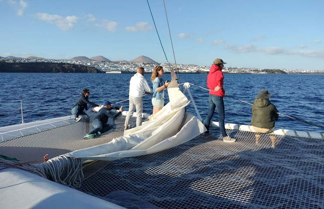 Whale & Dolphin Watching in Puerto Calero - Photo 8