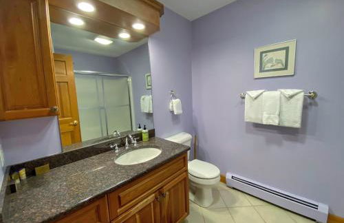 P5 Ski-in Ski-out rare find Presidential View single family with garage pool table ping pong - Foto 29