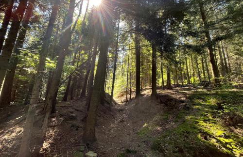 Chata pod lasem z balią i sauną - Foto 47