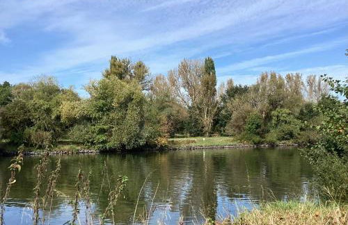 Ferienhaus Fahr am Main - Foto 50