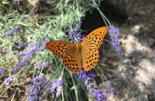 Spacious Villa for 6 - amazing pool and views - Foto 18