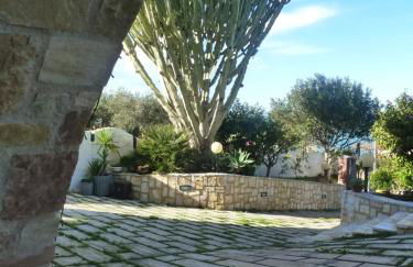 Casa Calendule - Foto 5