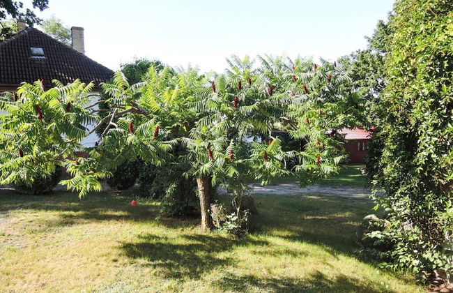 Bungalow in Lubin at 300 m From the Lake - Photo 34