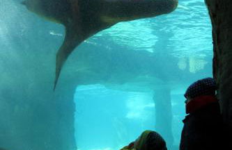 Neu! - "Skandi-Lounge"- Naturnah, mit Kaffeebar, schnellem Internet, Terrasse und Wallbox - Foto 44