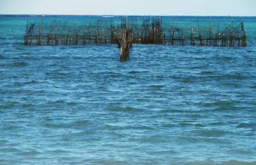 Casa com piscina no centro de Maragogi pertinho da praia! - Foto 26