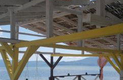 Apartman Stela - Photo 38