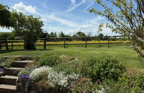 Charming modernized country cottage Near Mere, Wiltshire - Foto 36