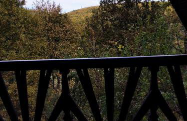 UNDER THE GREEN ROOF - Foto 69