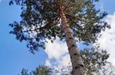 Leśniczówka Zielone Zakole - Foto 64