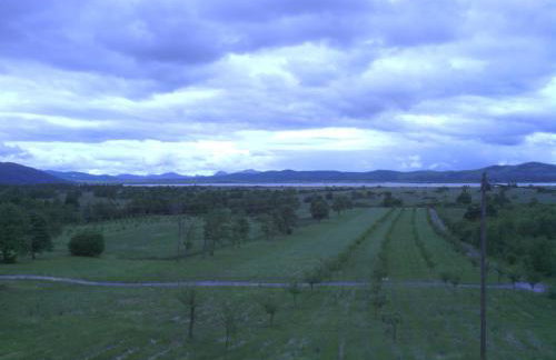 Bambi Forest House - Photo 13