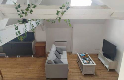 le loft de la place du marché - Foto 2