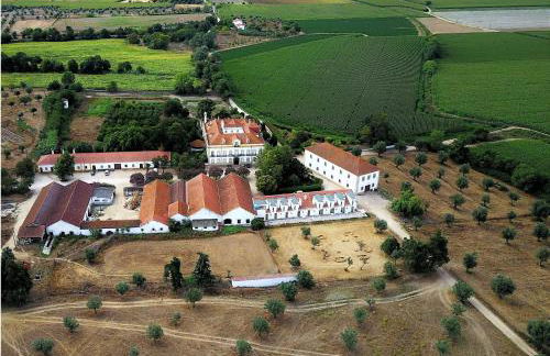 Quinta dos Álamos Agroturismo - Foto 15
