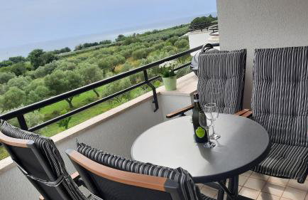 Apartma Coccolo - Foto 1