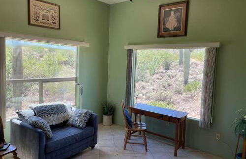 Tucson Mnt Foothills Saguaro Bliss - Foto 25