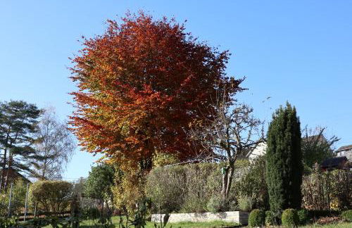 Ferienwohnung Weiß - Foto 28