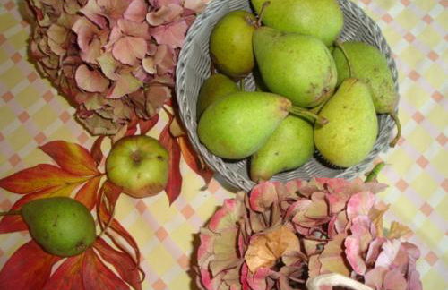 Gutspark Seeblick - Foto 43