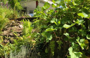 Apartment Green Elephant - Foto 26