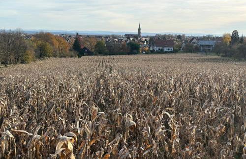 Gîte le Nid - Foto 26