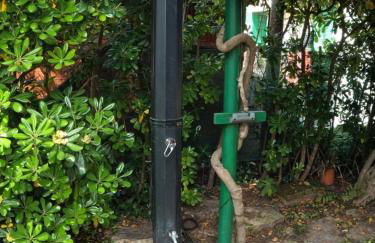 Casa Marchese - Foto 21