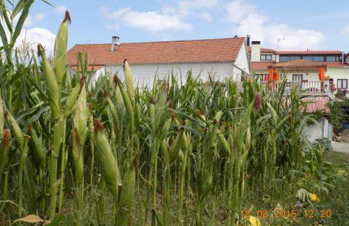 Casarao dos Reis - Foto 26