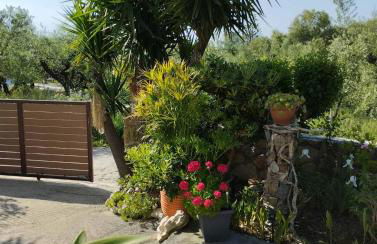 Pura Vida Home - Foto 40