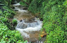 Creekside Cottage - Your Perfect Mountain Getaway! - Foto 7