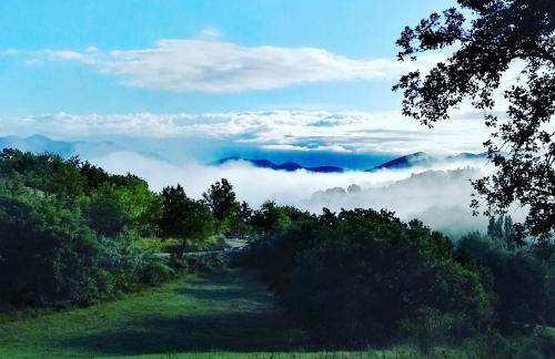 Oasi delle Gazze - Foto 32