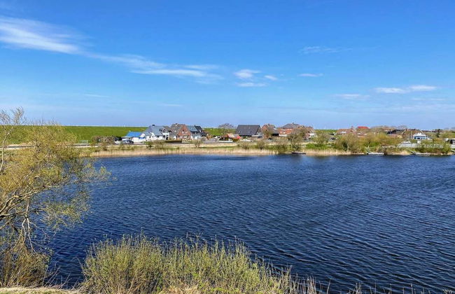 Halligstork - Foto 15