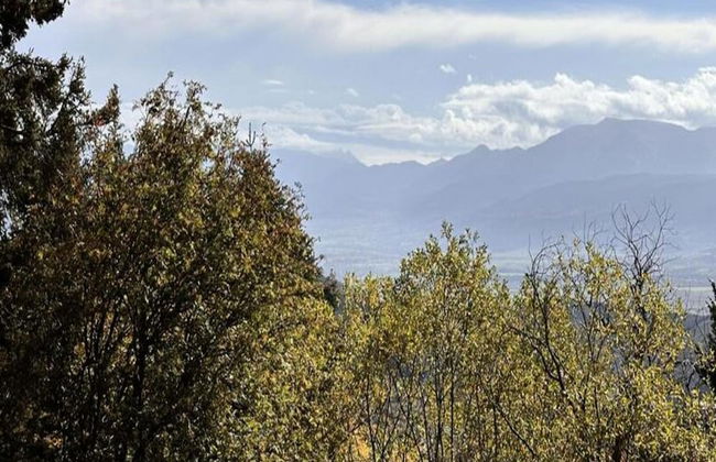 Apartment in Pellizzano - Foto 22