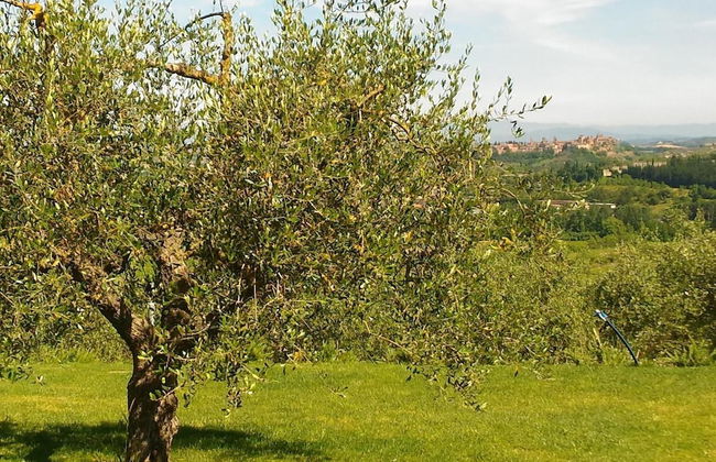 Capanna 1826 - Photo 34