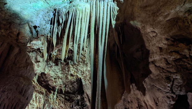 Serbie orientale : Tour des monastères médiévaux et de la grotte de Resava - Photo 3
