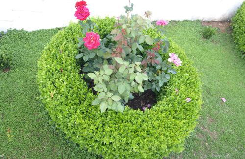 Apartments Danijela - Foto 24