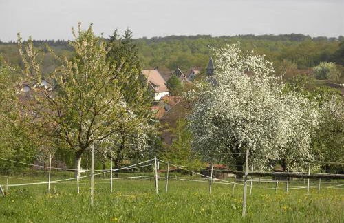 Sonnige Südwohnung mit Terrasse, Badesee - Foto 38