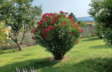 A 5 Minutes des Ocres Gïte La Charite Gordes Roussillon - Foto 30