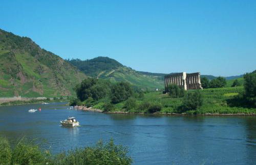 Apartments / Ferienwohnungen Moseluferstrasse - Photo 44