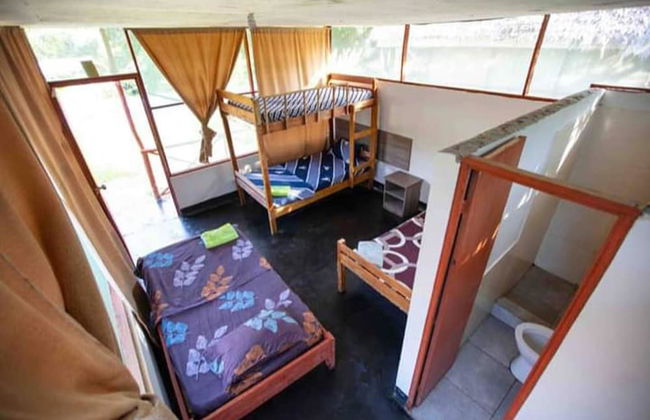 La Casa del Ayahuasca - Luz del Amazonas - Foto 4