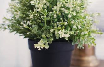 AC! Family Space-Retro Home in Historic Albany - Foto 31