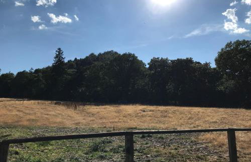 Ferienwohnungen Am Elfenstein - Foto 41