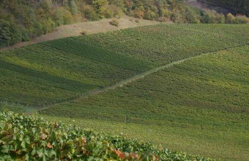 Ferienwohnungen Knodel - Foto 17