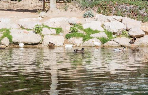 Playa Oliva Jessica - Photo 26