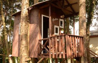 Quintal das Araucárias hospedagem - Foto 24