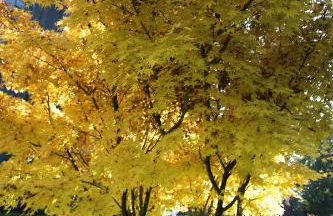 Bilocale Indipendente - Foto 27