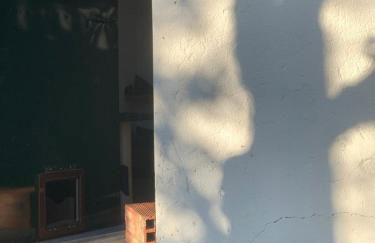 Santuário SOS Animal - Foto 19