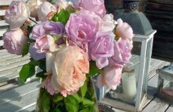 Agriturismo Fondo Gesù - Foto 15