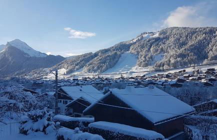 Résidence Julianna , trajets remontées mécaniques , livraison viennoiseries, piscine couverte - Foto 64