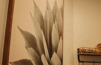 Agave Tiny House at Cactus Flower-Private Hot Tub-Pet Friendly-No Pet Fees! - Foto 13