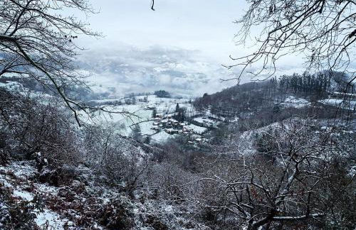 El Portiellu - Foto 10